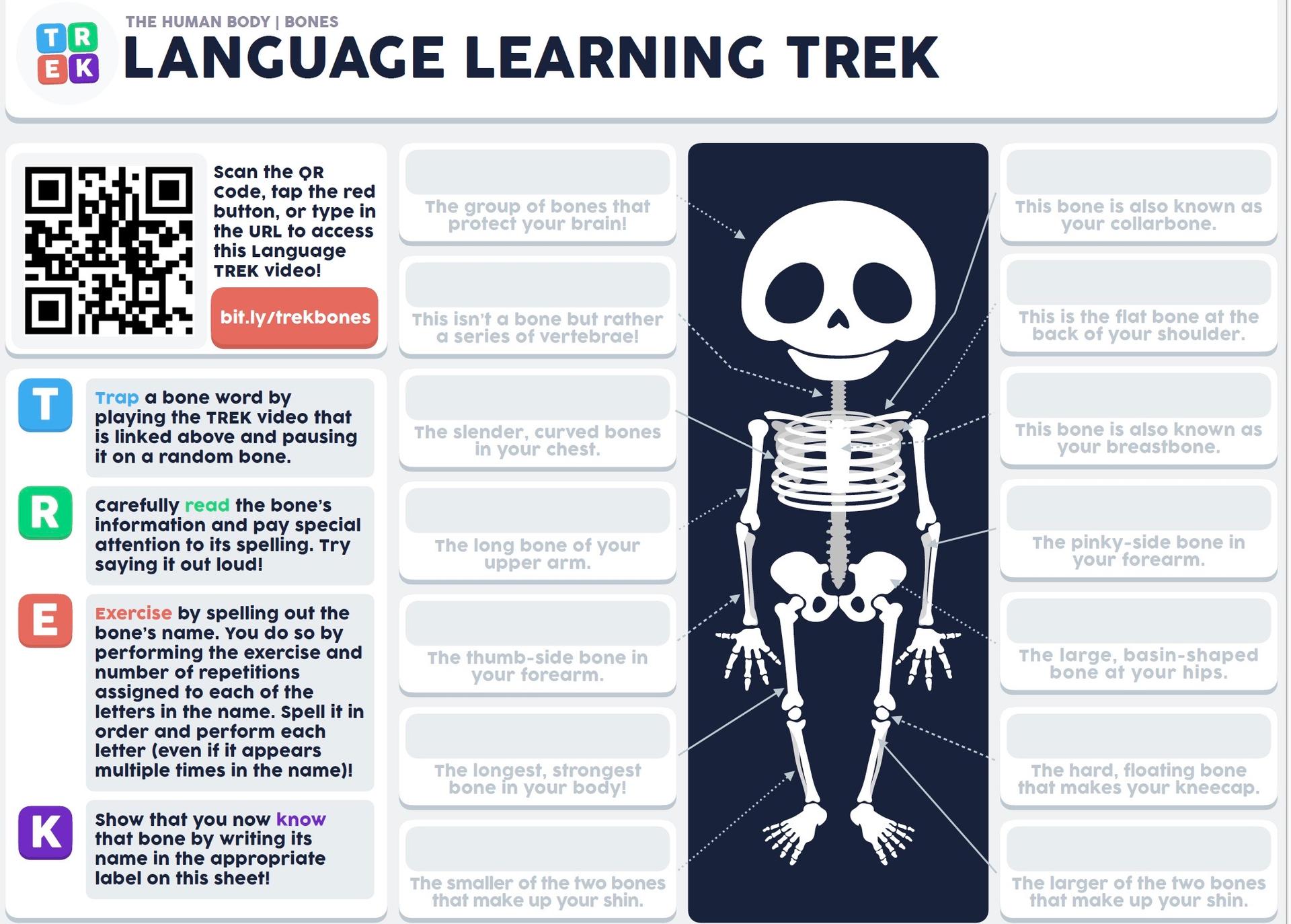 Great CLIL lesson!&nbsp;